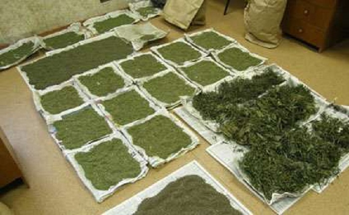 Cənubda 630 kiloqram tiryək aşkarlandı