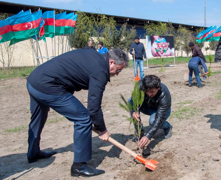 Nərimanovda ağacəkmə aksiyası keçirildi