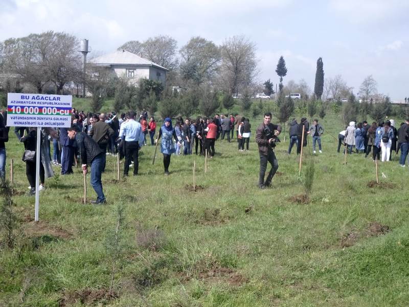 10 milyonuncu sakinə görə ağacəkmə aksiyaları keçirilib - FOTOLAR