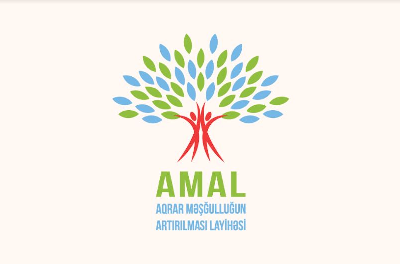 AMAL-&ccedil;ılar &uuml;&ccedil;&uuml;n təlimlər başlayır