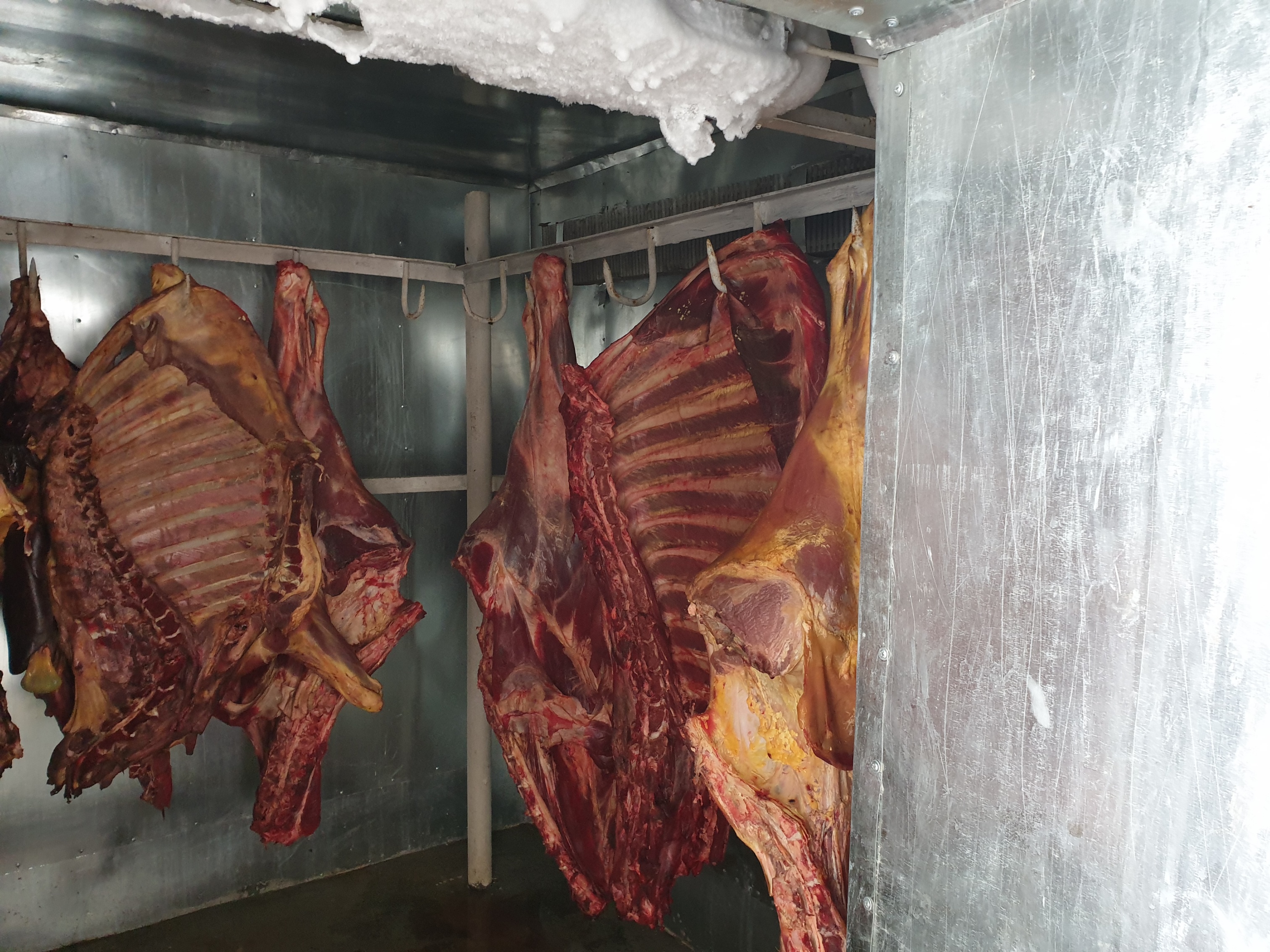 Göyçayda tərkibində xəstəlik törədiciləri olan 235 kiloqram ət aşkarlandı
