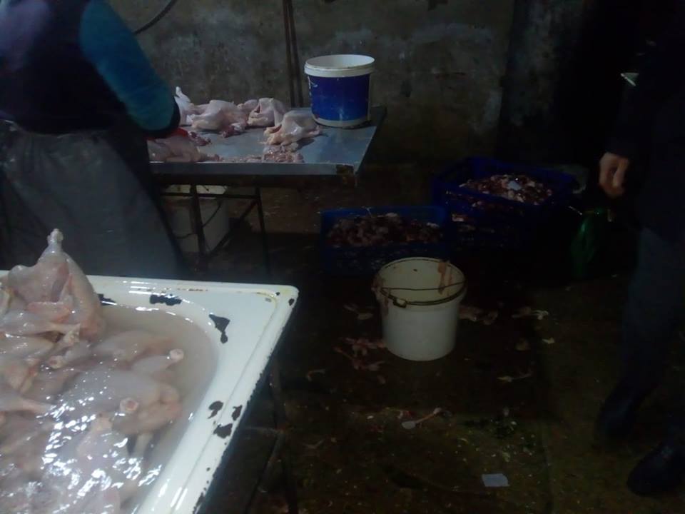 Bakıda toyuq sexi anti-sanitar şəraitdə - FOTOLAR