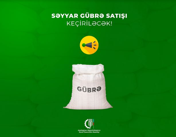G&uuml;zəştli g&uuml;brə satışının n&ouml;vbəti &uuml;nvanı - MASALLI