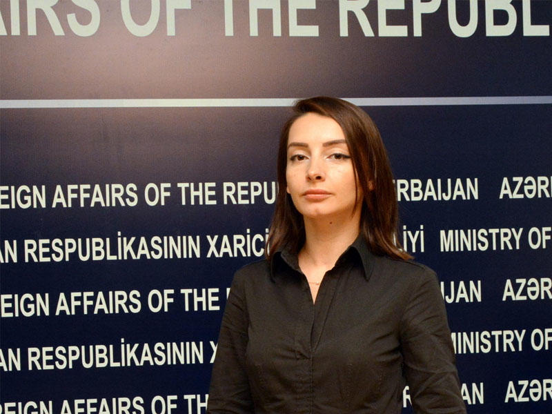 Rəsmi Bakı Ermənistanın Avropa İttifaqı ilə bağlı iddiasına cavab verdi