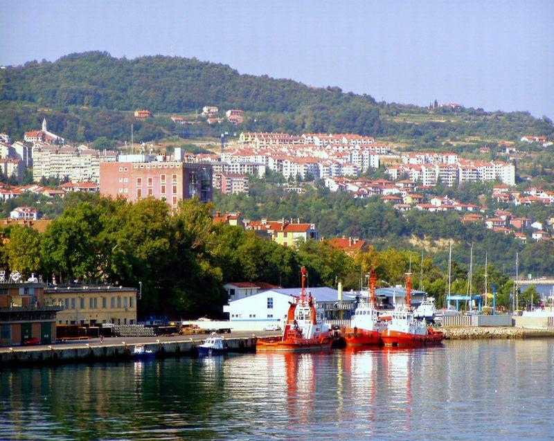 Sloveniyadan Azərbaycan şirkətlərinə xüsusi təklif
