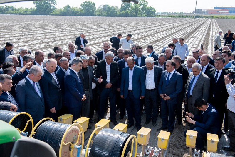 Ucarda pambıqçılıqla bağlı layihə təqdim olundu  