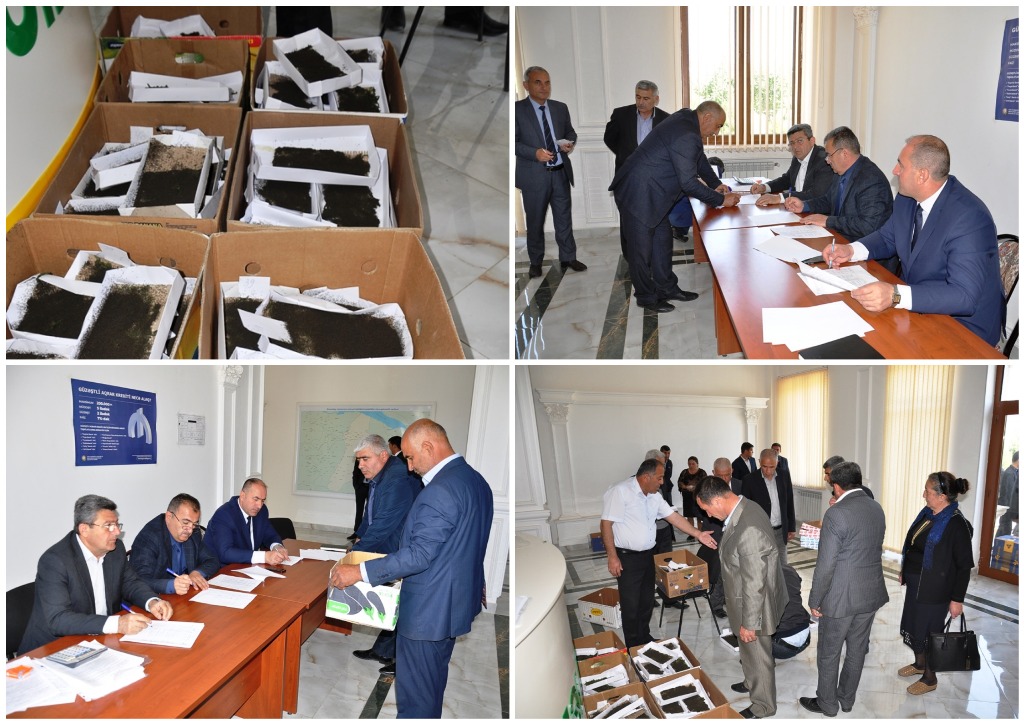 Goranboyda barama istehsalına maraq artıb - FOTO