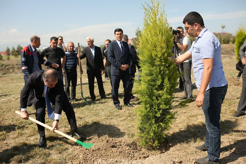 Gəncədə ağacəkmə aksiyası keçirildi  