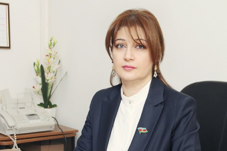 Deputat Dilarə Cəbrayılovanın oğlu Türkiyədə qəzaya düşdü