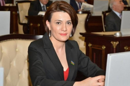 Deputat Sona Əliyeva: “Gəlin, görün və danışın...”