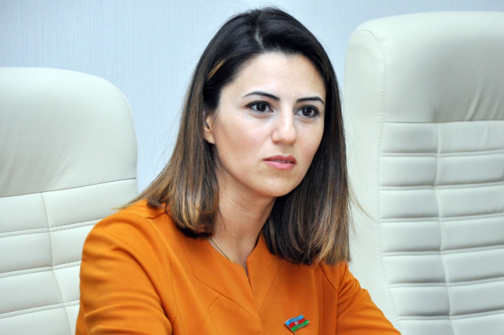 Deputat: “Cinsi istismara yalnız təcavüz deyil, intim söhbətlər, yazışmalar da daxildir”  