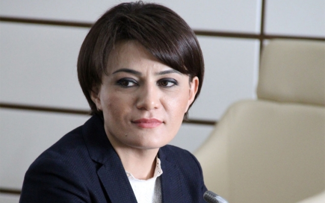 Azərbaycanlı deputat Paşinyanı küçə uşağı adlandırdı