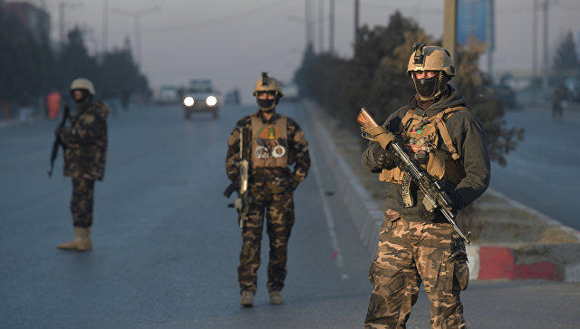 “Taliban”a qarşı əməliyyat: 40-dan çox silahlı məhv edildi
