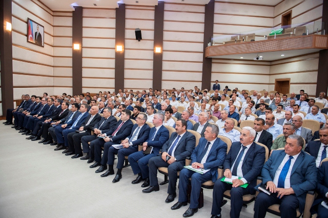 Lənkəranda sitrus meyvəçiliyinin və çayçılıq yenidən dirçələcək