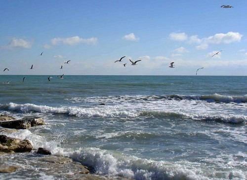 Xəzərin suyunu təmizləmək üçün yeni qurğular tikilə bilər  
