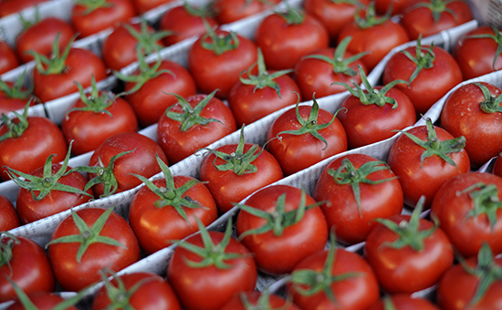 Rusiya 36 ton Azərbaycan pomidorunu geri qaytardı