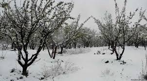 Zaqatalaya qar yağdı 