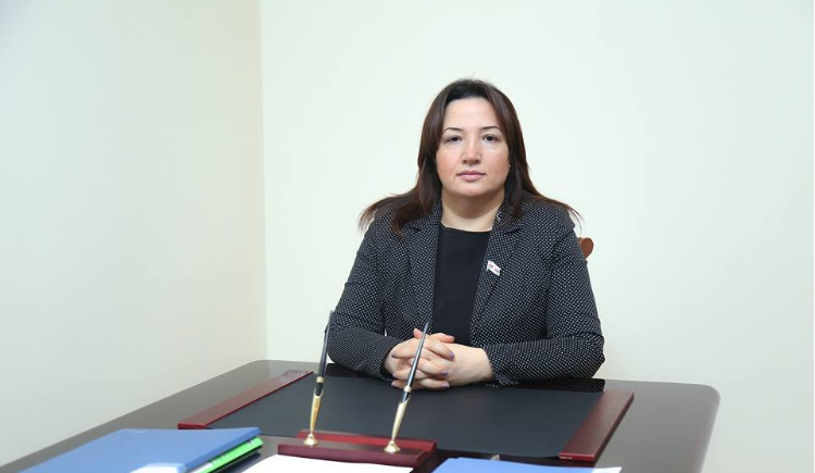 Deputat: “Azərbaycan-UNESKO əlaqələri yüksələn bir xətlə inkişafdadır”