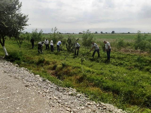 Gornaboyda ümumrayon iməcliyi keçirilib