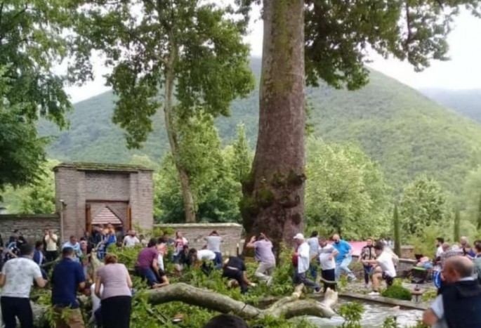 Şəkidə 19 nəfəri yaralayan ağacın qırılma SƏBƏBİ