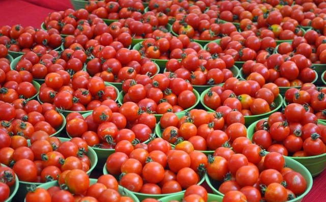 Pomidor ucuzlaşacaq – Nazirlikdən AÇIQLAMA