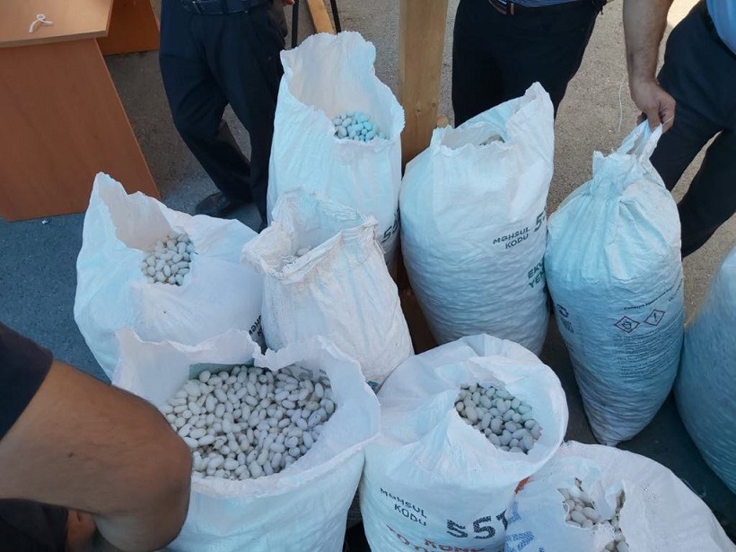 Zərdablıların uğuru - dövlət dəstəyi və halal zəhmət   