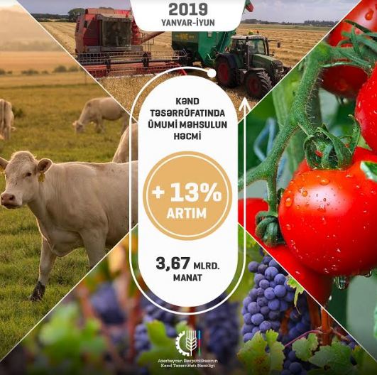 6 ayda Azərbaycanın kənd təsərrüfatında 13% artım olub