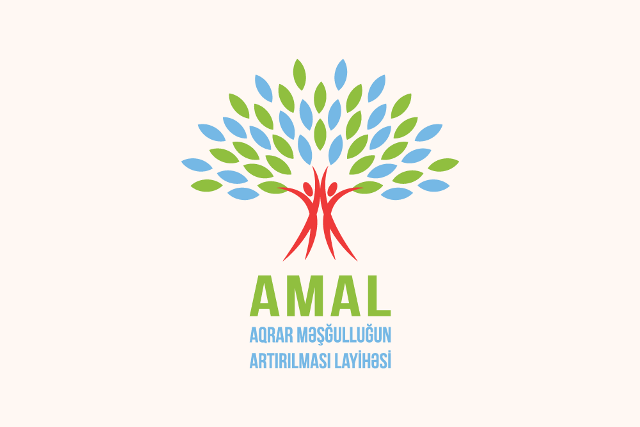 AMAL Akademiyasının YAY Məktəbinə qeydiyyat başlayır