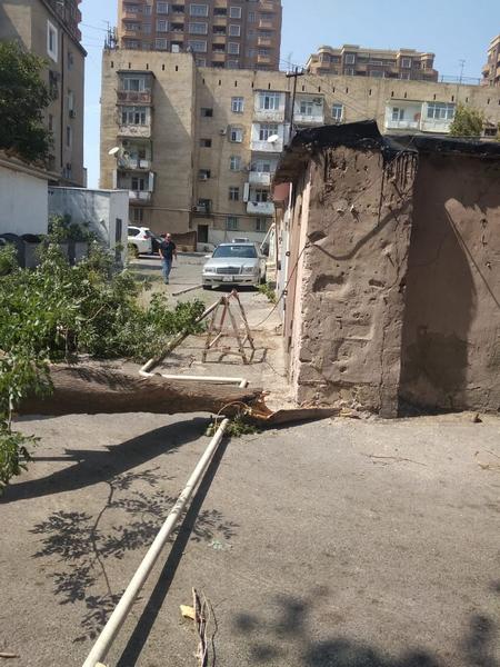 Paytaxtda 500 abonent qazsız qaldı