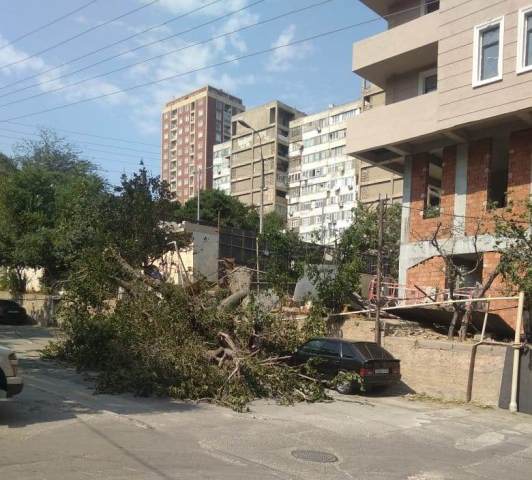 Azərbaycanda 2 yerdə ağac qaz xəttinin üstünə aşdı