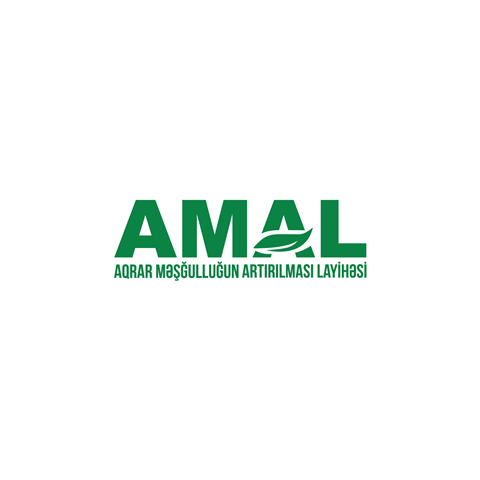 AMAL Akademiyasının Yay Məktəbinə qeydiyyat başlayır
