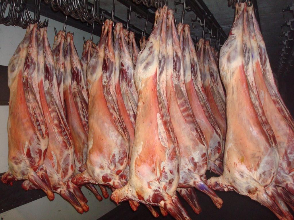 Dövlət Agentliyindən Qurban bayramı ərəfəsində əhaliyə ÇAĞIRIŞ 