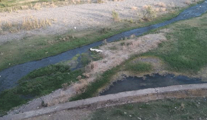 Tovuzda 18 yaşlı qızın intihara cəhd səbəbi bilindi - YENİLƏNİB