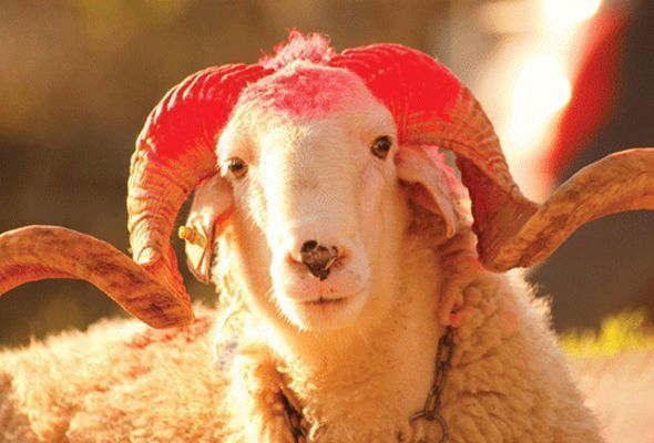 Bu gün Qurban bayramı qeyd olunur