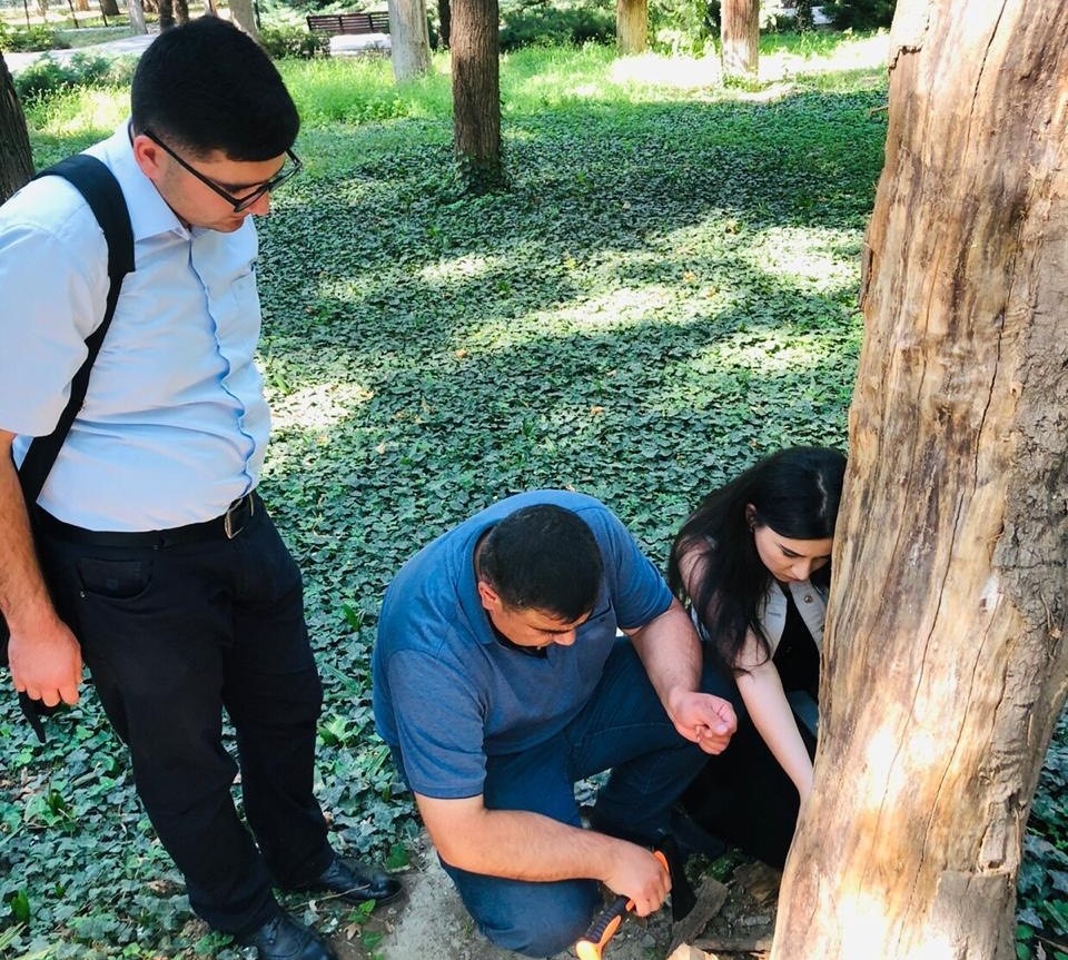 “Xan bağı”nda monitorinq - bəzi ağaclar kəsiləcək