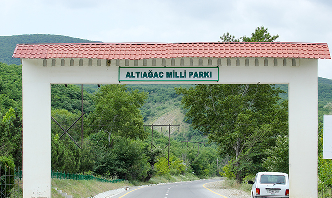 Altıağac milli parkında “açıq qapı” günü keçiriləcək - FOTOLAR