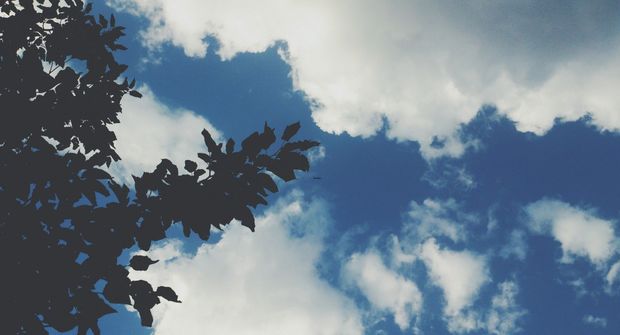 Sabah temperatur 15 dərəcəyə düşəcək - HAVA PROQNOZU
