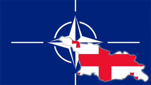 Gürcüstan NATO-ya qoşulmaq üçün torpaqlarından imtina etməlidir