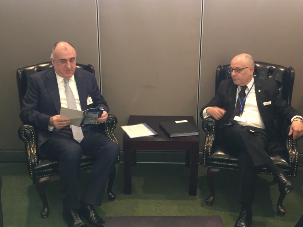 Elmar Məmmədyarov argentinalı nazirlə əməkdaşlığı müzakirə etdi  