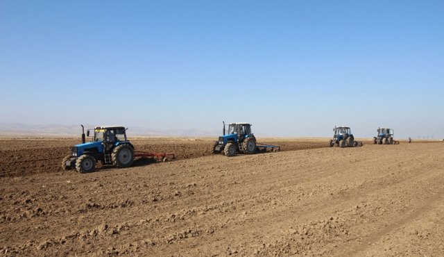 Goranboyda şum və səpin işləri start götürdü