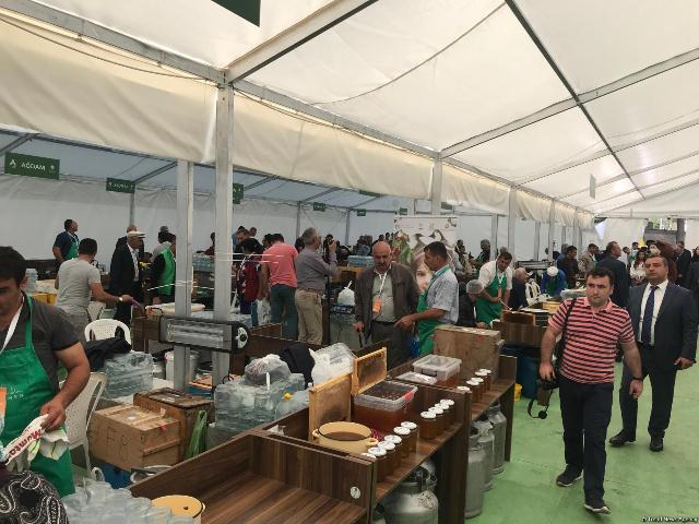 Bakıda bal yarmarkası açıldı