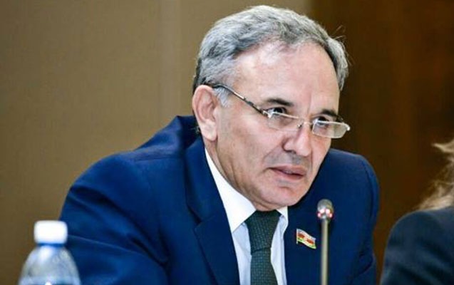 Əflatun Amaşov: “Azərbaycanda diffamasiya dekriminallaşsın!”