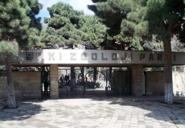Bakı Zooparkı nə vaxt istifadəyə veriləcək? - Direktordan AÇIQLAMA
