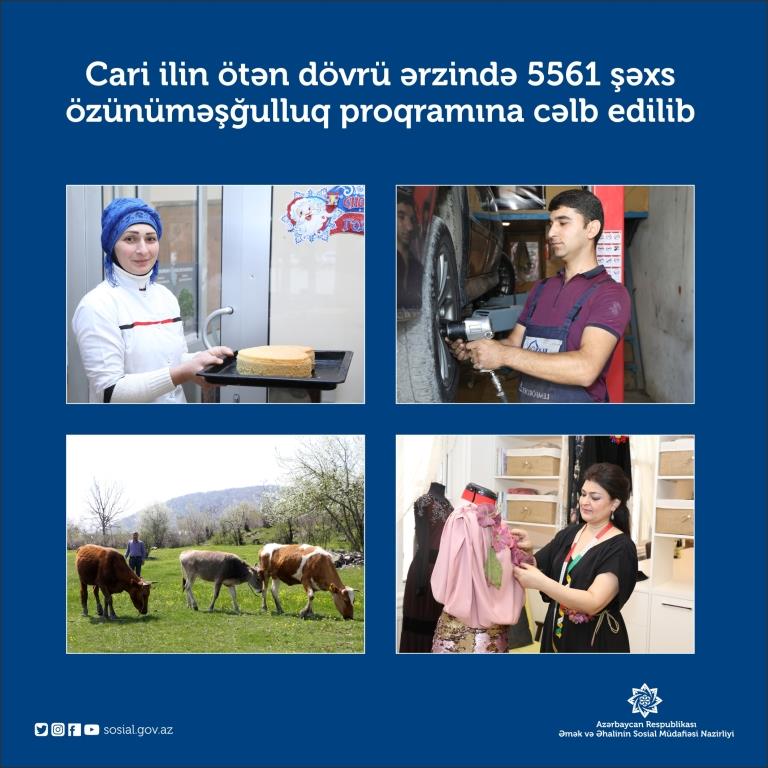 5561 şəxs özünüməşğulluq proqramına cəlb edilib