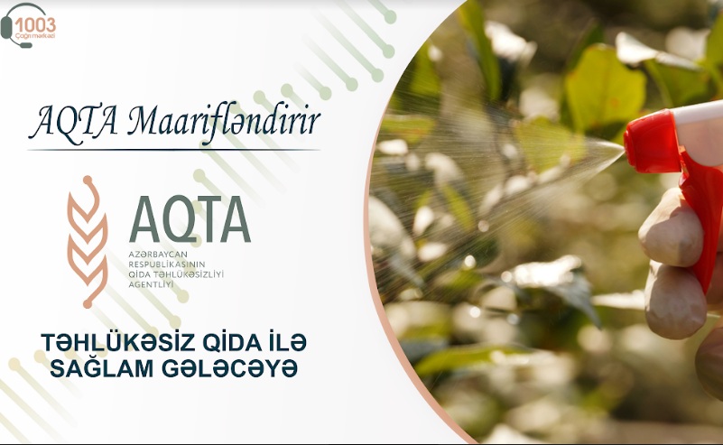 Bitkilər necə mühafizə olunmalıdı? - AQTA MAARİFLƏNDİRİR