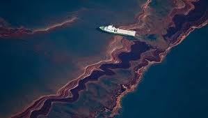 Braziliya sularına 100 tondan çox neft sızıb