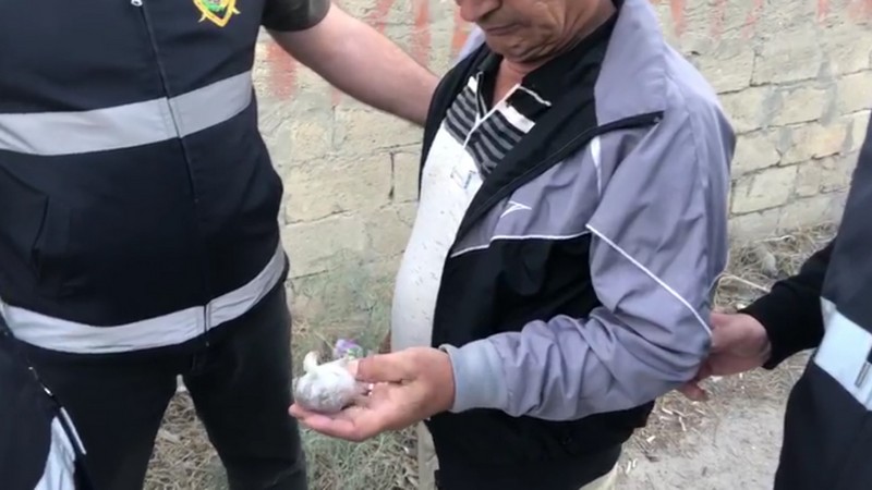Polis “ağ ölüm” yayan narkotaciri saxladı – 5 kiloqram heroinlə - FOTOLAR