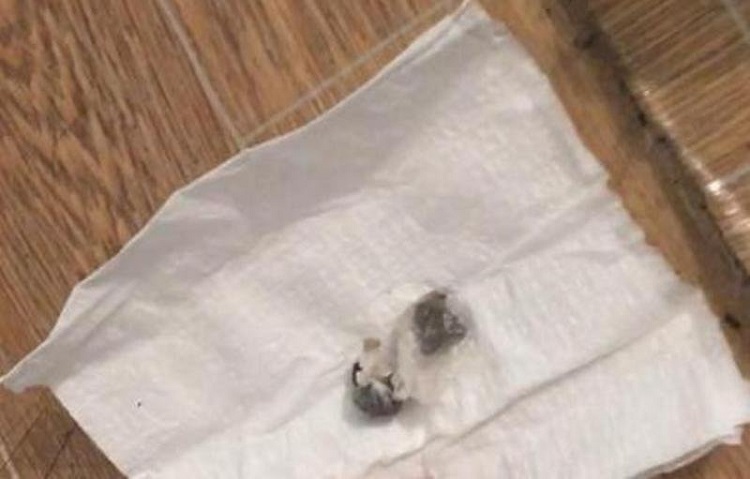 Həbsdə olan oğluna herion aparan ata saxlanılıb