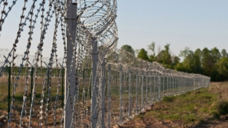 Axtarışda olan Gürcüstan vətəndaşı Azərbaycanla sərhəddə tutuldu