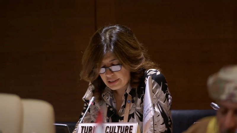 Günay Əfəndiyeva: “Azərbaycanın Qoşulmama Hərəkatına sədrliyi bütün üzv dövlətlər üçün faydalı olacaq”